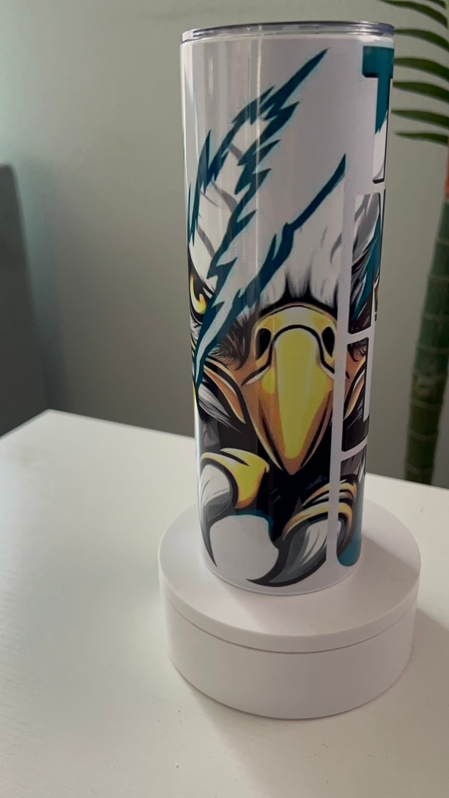 Philadelphia Eagles football Collection